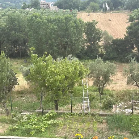 La Raganella D'oro Bed & Breakfast