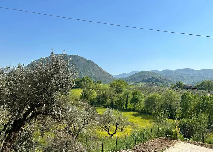 La Raganella D'oro Pico